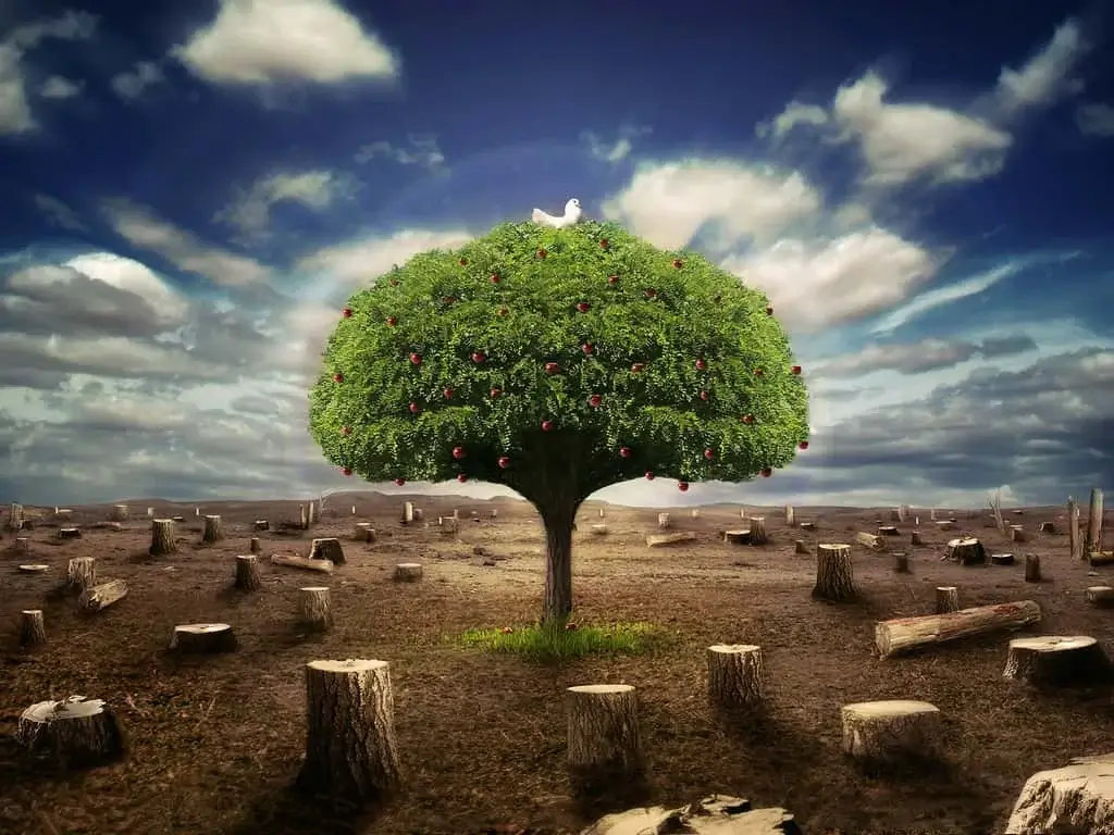 A single green tree with red apples and a white dove on top, standing in a barren field of tree stumps, symbolizing hope and environmental restoration