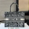 Dior Book Tote